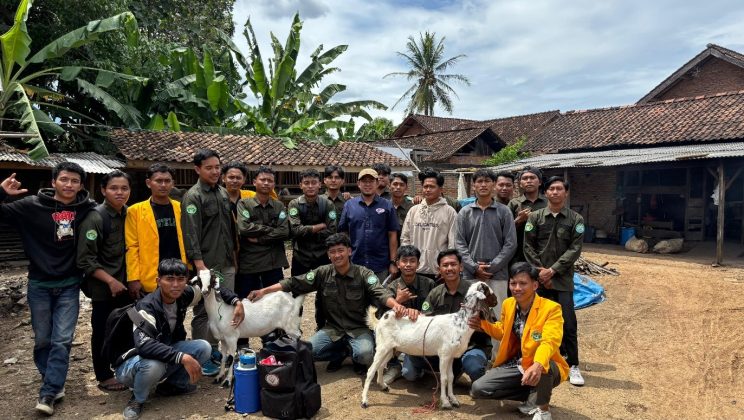 Mahasiswa FP3 Angkatan 2023 Asah Keterampilan Krusial Melalui Praktikum Inseminasi Buatan Sapi dan Kambing